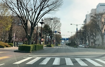 道路案内ー甲府駅より平和通りを南に直進